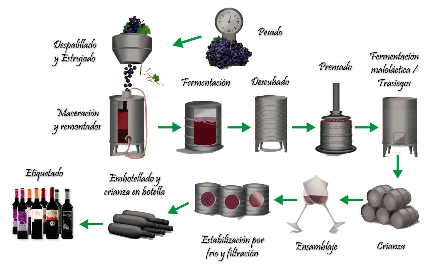 abdomen fábrica Ciro Elaboración de los vinos tintos | Vinos y Pasiones